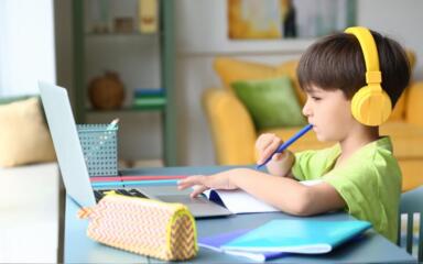 Child studying using his computer.